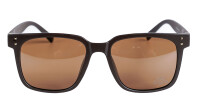 KINI Red Bull Newtone F1 Shade - Brown/Brown